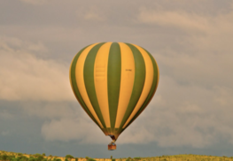 What to Expect on a Balloon Safari