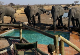 Best Serengeti accomodations